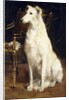 A Borzoi by a Chair by St. George Hare