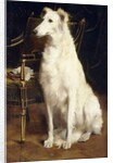 A Borzoi by a Chair by St. George Hare