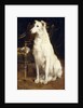 A Borzoi by a Chair by St. George Hare