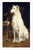 A Borzoi by a Chair by St. George Hare