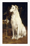 A Borzoi by a Chair by St. George Hare