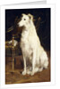 A Borzoi by a Chair by St. George Hare