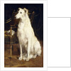 A Borzoi by a Chair by St. George Hare