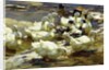 Ducks in the Pond; Enten im Teich, by Alexander Koester