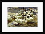Ducks in the Pond; Enten im Teich, by Alexander Koester