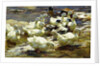 Ducks in the Pond; Enten im Teich, by Alexander Koester