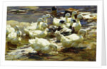 Ducks in the Pond; Enten im Teich, by Alexander Koester