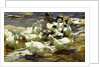 Ducks in the Pond; Enten im Teich, by Alexander Koester
