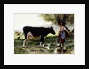 A Milkmaid with her Cow by Julien Dupre