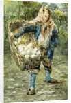 Young Egg Seller, by Vicenzo Irolli