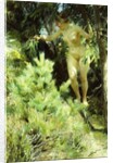 Wood-Sprite, 1892 by Anders Leonard Zorn