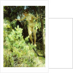 Wood-Sprite, 1892 by Anders Leonard Zorn