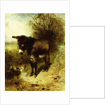 A Brown Study, 1853 by William Huggins