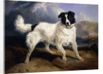 A Portrait of Neptune, 1824 by Edwin Landseer