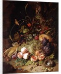Still-life with Fruit and Insects by Rachel Ruysch