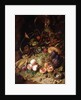 Still-life with Fruit and Insects by Rachel Ruysch