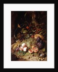 Still-life with Fruit and Insects by Rachel Ruysch
