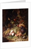Still-life with Fruit and Insects by Rachel Ruysch