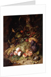 Still-life with Fruit and Insects by Rachel Ruysch