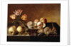 A Silver Plate of Peaches, a Vase of Parrot Tulips, Pears and Shells on a Partly Draped Table by Bartholomeus Assteyn
