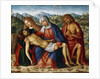 The Pieta, by Giovanni di Niccolo Mansueti