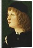 Portrait of a Youth, bust-length, in a Dark Cap, c.1475 by School Florentine