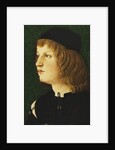 Portrait of a Youth, bust-length, in a Dark Cap, c.1475 by School Florentine