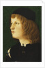 Portrait of a Youth, bust-length, in a Dark Cap, c.1475 by School Florentine