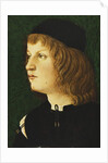 Portrait of a Youth, bust-length, in a Dark Cap, c.1475 by School Florentine