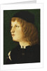 Portrait of a Youth, bust-length, in a Dark Cap, c.1475 by School Florentine