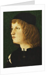 Portrait of a Youth, bust-length, in a Dark Cap, c.1475 by School Florentine