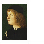 Portrait of a Youth, bust-length, in a Dark Cap, c.1475 by School Florentine