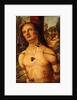 Saint Sebastian, by Fiorenzo di Lorenzo
