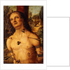 Saint Sebastian, by Fiorenzo di Lorenzo