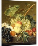 Fruit, Hazelnuts and Hollyhocks on a Marble Ledge by Jan van Huysum