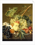 Fruit, Hazelnuts and Hollyhocks on a Marble Ledge by Jan van Huysum