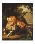 A Tiger attacking a Bull, 1785 by Johan Wenzel Peter