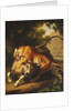 A Tiger attacking a Bull, 1785 by Johan Wenzel Peter