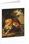 A Tiger attacking a Bull, 1785 by Johan Wenzel Peter