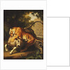 A Tiger attacking a Bull, 1785 by Johan Wenzel Peter