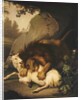 A Lion attacking a Goat, 1785 by Johan Wenzel Peter