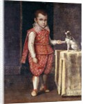 Portrait of a Boy, full-length, wearing a silver-embroidered red costume, holding the paw of a spaniel on a table by Lavinia Fontana