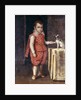 Portrait of a Boy, full-length, wearing a silver-embroidered red costume, holding the paw of a spaniel on a table by Lavinia Fontana