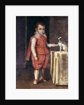 Portrait of a Boy, full-length, wearing a silver-embroidered red costume, holding the paw of a spaniel on a table by Lavinia Fontana