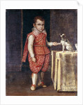 Portrait of a Boy, full-length, wearing a silver-embroidered red costume, holding the paw of a spaniel on a table by Lavinia Fontana
