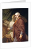 Portrait of Antonio Canova, three-quarter length, in brown robes by Johann Baptist I Lampi