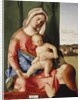 The Madonna and Child with a Male Donor, a landscape beyond by Giovanni Bellini