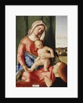 The Madonna and Child with a Male Donor, a landscape beyond by Giovanni Bellini