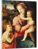 The Madonna and Child with the Infant Saint John the Baptist by Michele di Ridolfo Tosini