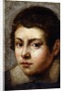 Head of a Boy by Northern Italian School